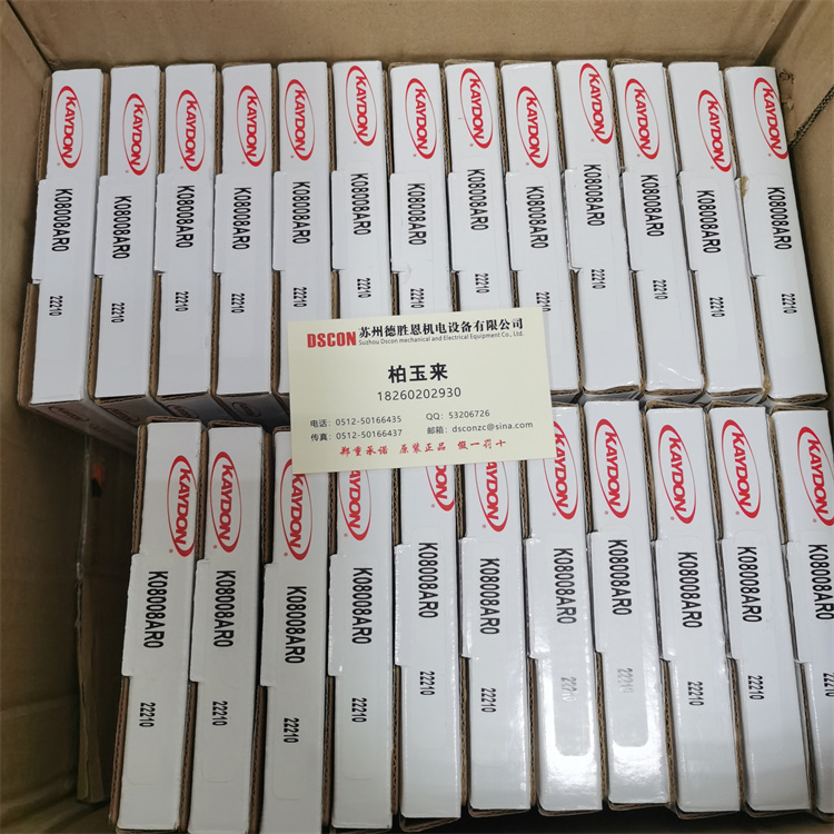 3110-004207064 美國KAYDON航空航天軸承 8900001