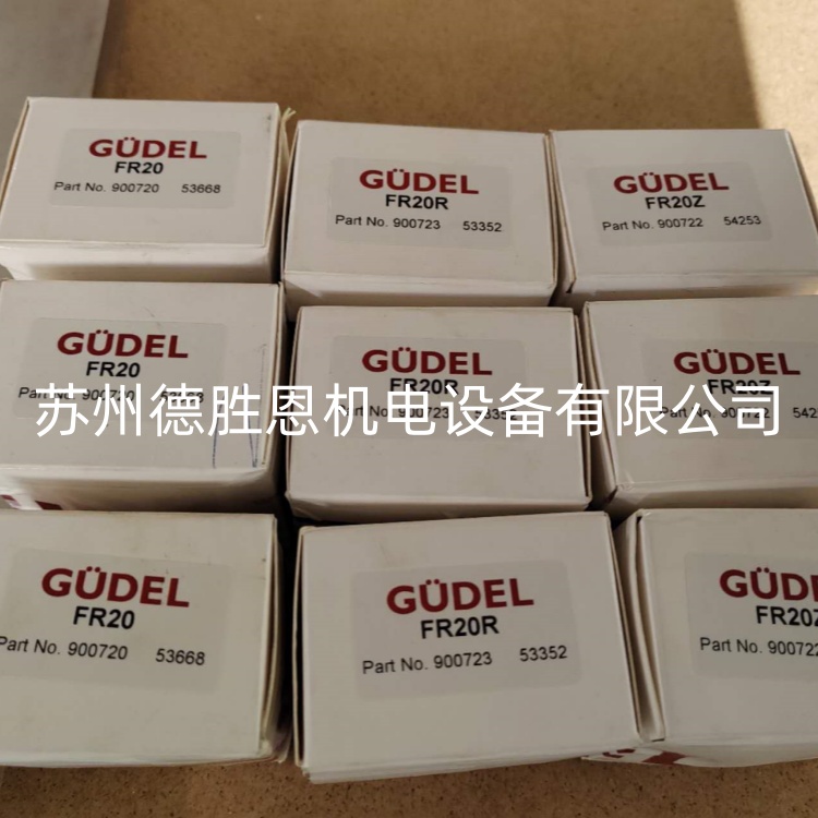 LR25R 900828 瑞士GUDEL軸承 LR25Z 900827 同心凸輪軸承